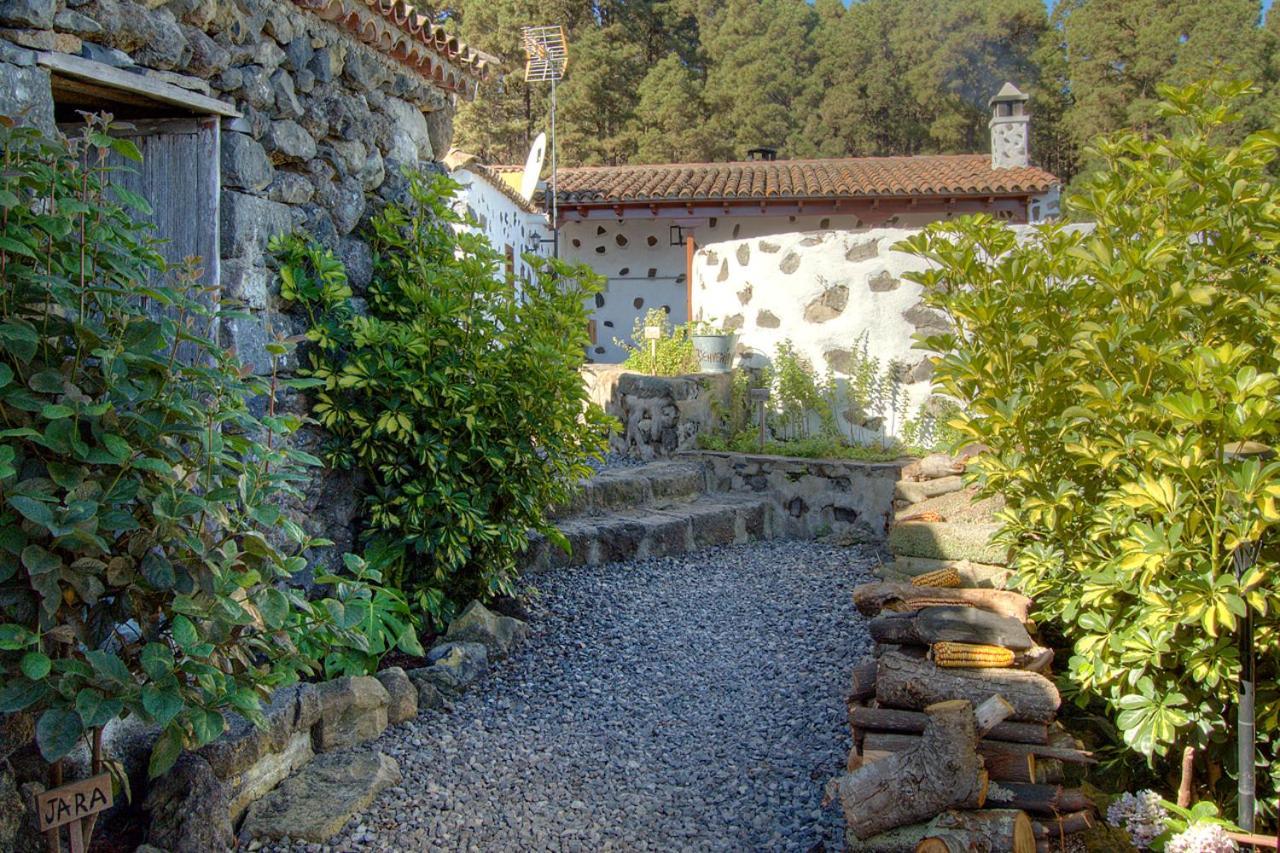 Holidaynorthtenerife Casa Rural Montiel Icod De Los Vinos Exteriér fotografie