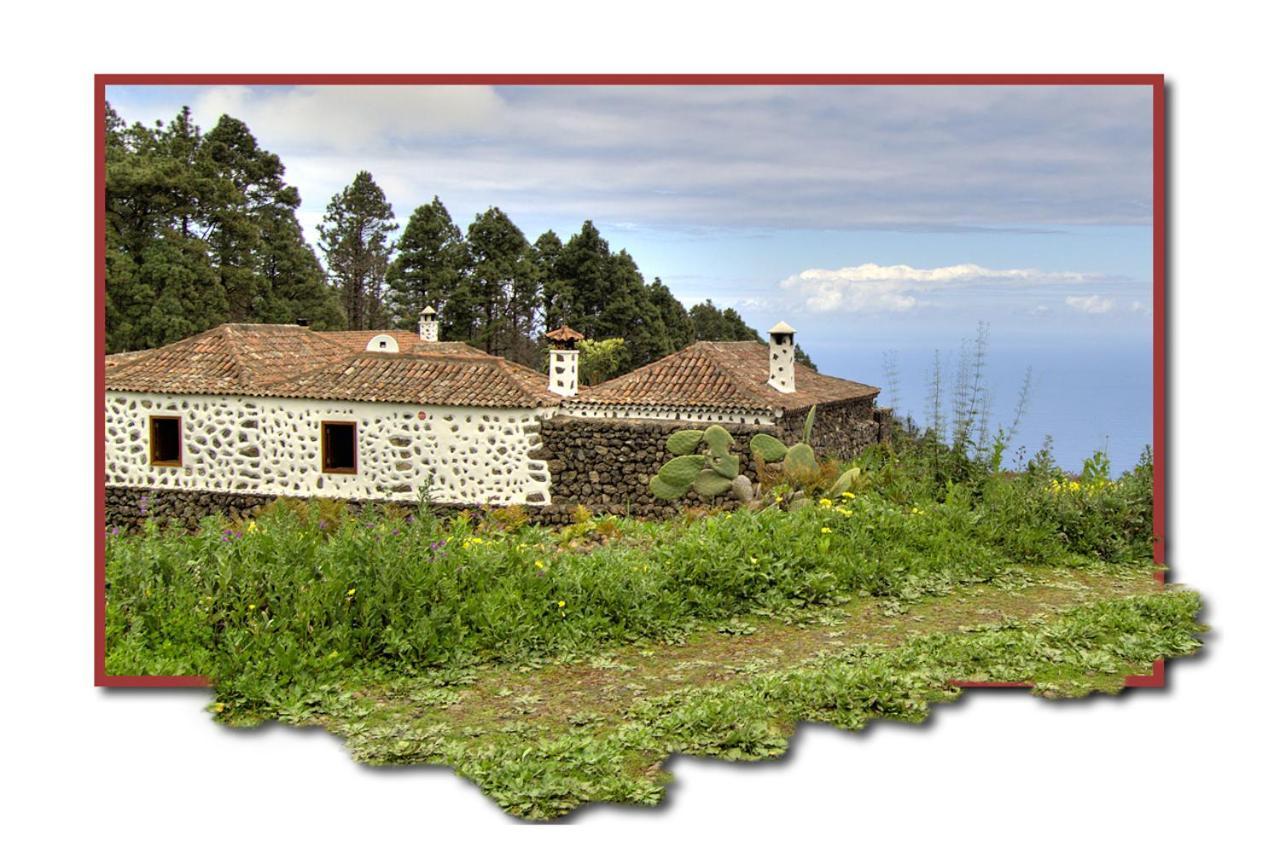 Holidaynorthtenerife Casa Rural Montiel Icod De Los Vinos Exteriér fotografie
